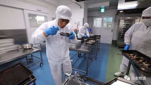 日本的中小学生午餐 从高度自动化的中央厨房到校园文化建设